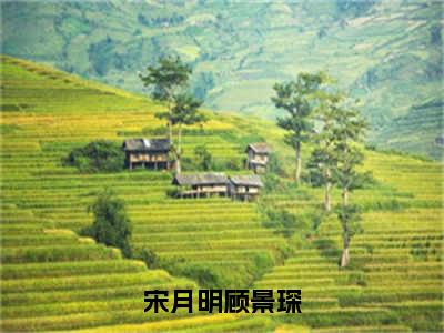 宋月明顾景琛（宋月明顾景琛）全文免费阅读无弹窗大结局_宋月明顾景琛最新章节列表