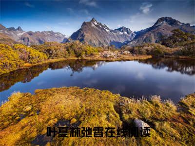 叶夏林弛霄小说限时免费,叶夏林弛霄完结版小说阅读无弹窗_笔趣阁