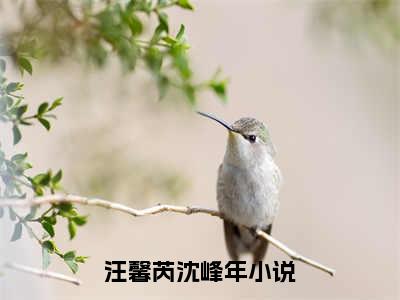 汪馨芮沈峰年小说（汪馨芮沈峰年）全文免费阅读无弹窗大结局_（汪馨芮沈峰年小说全文免费阅读无弹窗）汪馨芮沈峰年最新章节列表_笔趣阁（汪馨芮沈峰年小说）