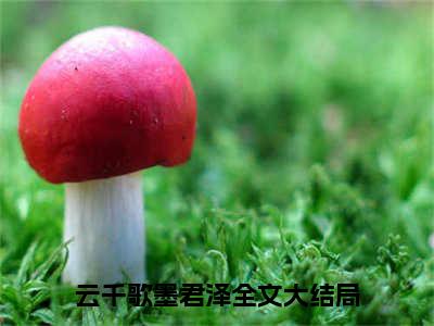 云千歌墨君泽小说最新章节（云千歌墨君泽）全文免费阅读无弹窗大结局_云千歌墨君泽免费阅读（云千歌墨君泽小说）