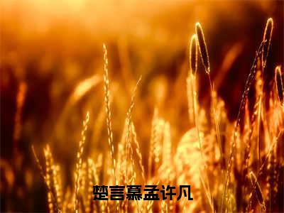 楚言慕孟许凡（楚言慕孟许凡）全文免费阅读无弹窗大结局_楚言慕孟许凡全文免费阅读_笔趣阁（楚言慕孟许凡）