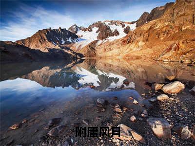 夏绯向钧（附庸风月）笔趣阁免费小说_夏绯向钧笔趣阁最新章节附庸风月免费在线阅读大结局