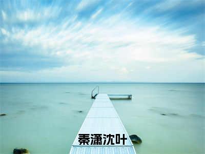 秦潇沈叶（秦潇沈叶）小说全文-秦潇沈叶无弹窗免费阅读