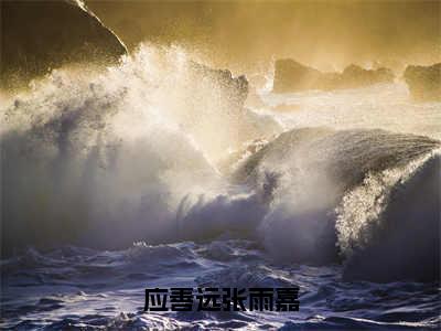 应善远张雨嘉抖音新书热荐应善远张雨嘉-应善远张雨嘉最新小说全文阅读