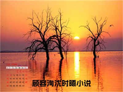 顾容洵沈时曦全文免费阅读_（顾容洵沈时曦免费阅读无弹窗）顾容洵沈时曦最新章节在线阅读笔趣阁