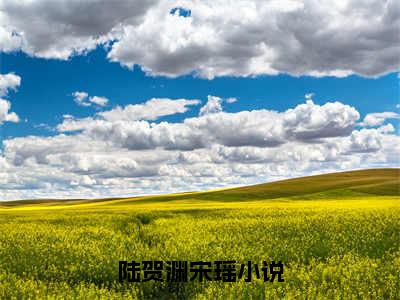 陆贺渊宋瑶最新章节（陆贺渊宋瑶）全文免费阅读无弹窗大结局_陆贺渊宋瑶免费阅读（陆贺渊宋瑶）