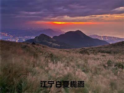 江宁白夏栀雨（江宁白夏栀雨）全文免费阅读无弹窗大结局_（江宁白夏栀雨）江宁白夏栀雨免费阅读最新章节列表笔趣阁（江宁白夏栀雨）