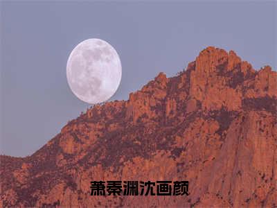 萧秦渊沈画颜（萧秦渊沈画颜）全文免费阅读无弹窗_萧秦渊沈画颜最新小说_笔趣阁