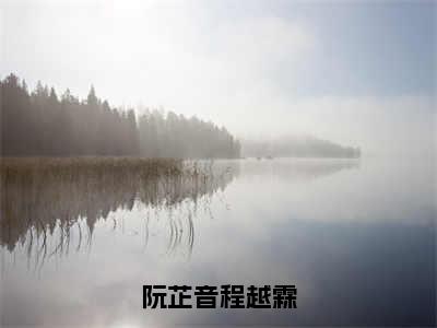 阮芷音程越霖小说免费阅读全文在线阅读,阮芷音程越霖的小说在线阅读全文