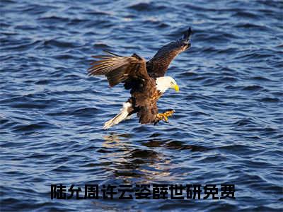 （陆允周许云姿薛世研）全文免费阅读无弹窗大结局_陆允周许云姿薛世研最新章节列表_笔趣阁