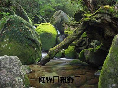 陆怀璟祝舒珣（陆怀璟祝舒珣）全文免费阅读大结局-陆怀璟祝舒珣最新章节列表免费阅读大结局