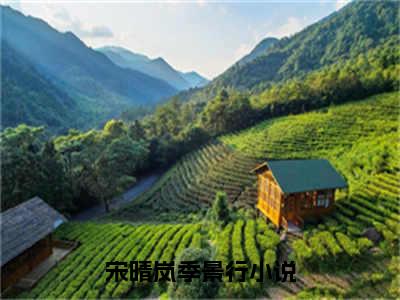 宋晴岚季景行全文免费阅读无弹窗大结局_ （宋晴岚季景行完结）宋晴岚季景行小说最新章节列表