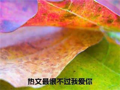 苏晗沈毅（最恨不过我爱你）小说免费无弹窗大结局-苏晗沈毅小说全文完整版阅读