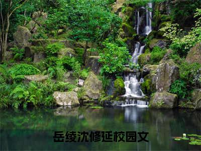 岳绫沈修延小说大结局免费阅读（岳绫沈修延）-完结版岳绫沈修延小说推荐