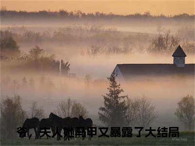 爷，夫人她马甲又暴露了小说顾柒陆君深无弹窗免费阅读-最新小说爷，夫人她马甲又暴露了(顾柒陆君深)全文阅读