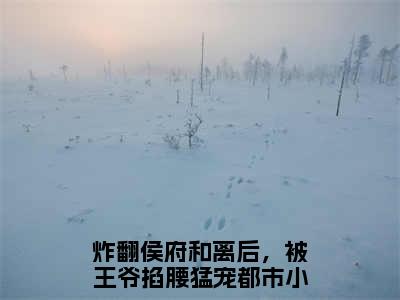 炸翻侯府和离后，被王爷掐腰猛宠（陆博初安七恩）全文在线阅读无弹窗大结局_(炸翻侯府和离后，被王爷掐腰猛宠在线阅读)最新章节列表_笔趣阁（陆博初安七恩）