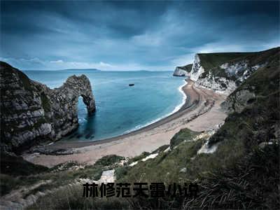 林修范天雷免费完本小说 林修范天雷精彩章节在线阅读