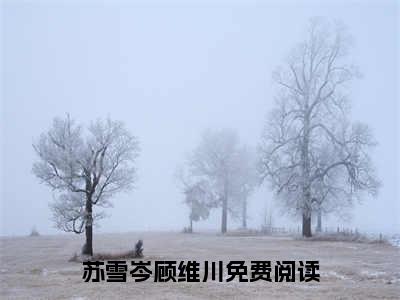 苏雪岑顾维川（苏雪岑顾维川）小说全文免费阅读-苏雪岑顾维川知乎小说