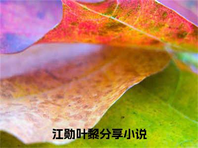 江勋叶黎小说（江勋叶黎）全文免费阅读无弹窗大结局_江勋叶黎最新章节列表_笔趣阁