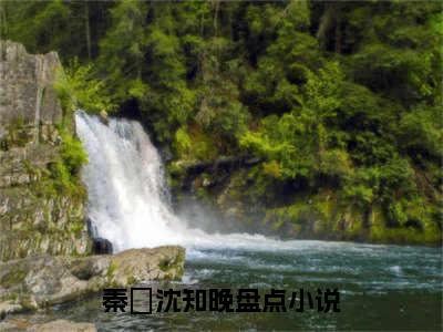 秦祤沈知晚小说限时免费,秦祤沈知晚完结版小说阅读无弹窗_笔趣阁