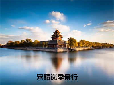 （宋晴岚季景行）全文免费阅读无弹窗大结局_（宋晴岚季景行阅读无弹窗）宋晴岚季景行最新章节列表_笔趣阁（宋晴岚季景行）