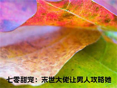 七零甜宠：末世大佬让男人攻略她小说全文免费阅读（苏玖玖陆北辞）全文免费阅读无弹窗_七零甜宠：末世大佬让男人攻略她小说全文免费阅读_笔趣阁（苏玖玖陆北辞）