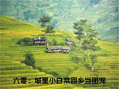 六零：城里小白菜回乡当团宠（黄瑾邬颜如玉）小说多人阅读-小说黄瑾邬颜如玉在哪里看免费