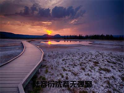 陆容衍沈荔的小说（陆医生的顽皮小娇妻）免费阅读_陆容衍沈荔小说免费阅读-笔趣阁（陆医生的顽皮小娇妻）