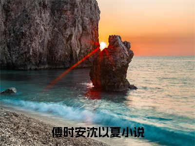 (抖音小说)傅时安沈以夏免费阅读傅时安沈以夏在线阅读大结局