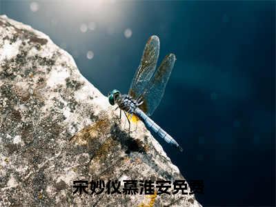 宋妙仪慕淮安免费阅读（宋妙仪慕淮安）完整版全文全章节阅读