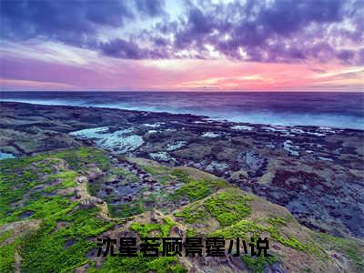 沈星若顾景霆（沈星若顾景霆）全文免费阅读无弹窗_沈星若顾景霆最新小说_笔趣阁（沈星若顾景霆）