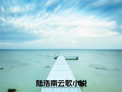 陆浩南云歌小说（陆浩南云歌）全文免费阅读无弹窗大结局_陆浩南云歌全文免费完结版阅读（陆浩南云歌）