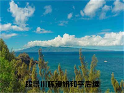 段景川陈漫妍小说免费阅读无弹窗大结局,段景川陈漫妍最新章节列表