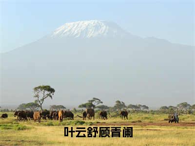 顾青阑，余生祝你幸福（叶云舒顾青阑）全文免费阅读无弹窗大结局_顾青阑，余生祝你幸福叶云舒顾青阑_笔趣阁