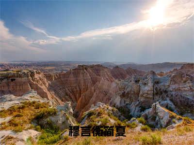 小说完整版阅读-穆言衡简夏美文欣赏