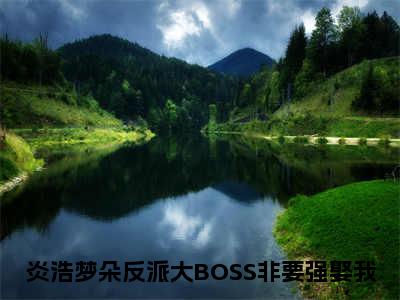 反派大BOSS非要强娶我小说（炎浩梦朵）全文免费阅读无弹窗_（炎浩梦朵）反派大BOSS非要强娶我最新章节列表_笔趣阁（反派大BOSS非要强娶我）