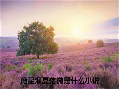 傅星澜夏落微全文免费完整版-傅星澜夏落微小说阅读