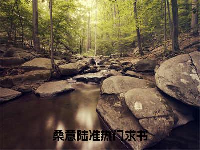 免费小说（桑意陆准）全文免费阅读无弹窗-桑意陆准小说全文在线赏析