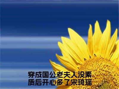 宋琦瑶小说全文免费阅读_穿成国公老夫人没素质后开心多了（宋琦瑶）最新章节列表笔趣阁