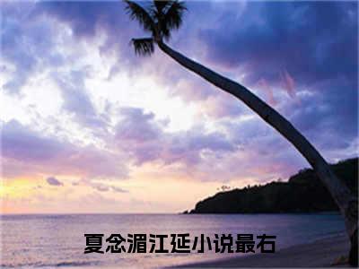 （完整版）夏念湄江延（夏念湄江延）小说推荐-夏念湄江延热文小说免费阅读全文