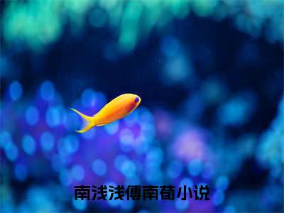 南浅浅傅南荀小说免费阅读-南浅浅傅南荀全文小说全章节阅读