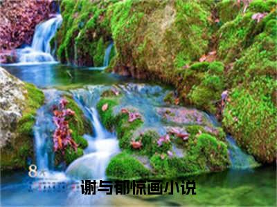 谢与郁惊画经典小说无广告小说免费阅读 谢与郁惊画全章节免费阅读