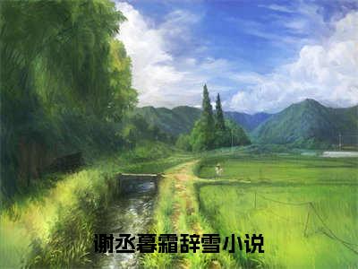 谢丞暮霜辞雪（谢丞暮霜辞雪）全文免费阅读无弹窗大结局_谢丞暮霜辞雪最新章节列表