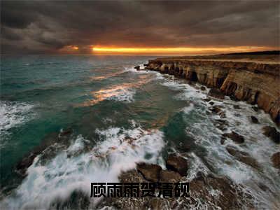 顾雨雨贺清砚全文免费阅读无弹窗大结局_（顾雨雨贺清砚）完整版全文在线赏析