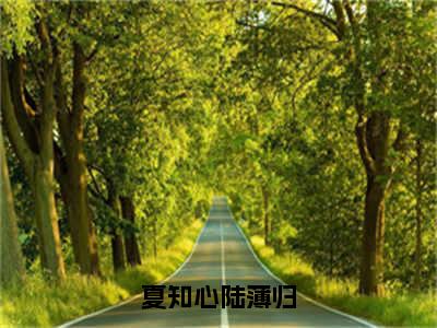 夏知心陆薄归（离婚后我带千亿家产杀回来了全文在线阅读）-夏知心陆薄归免费阅读