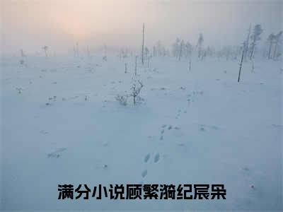 顾繁漪纪宸枭热门榜单小说 顾繁漪纪宸枭完本小说无弹窗免费阅读