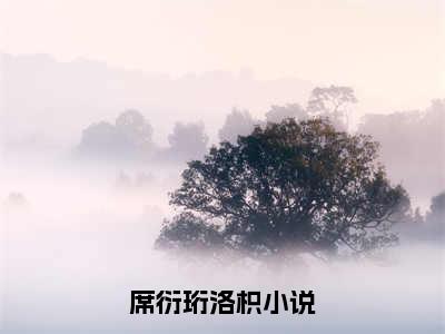 席衍珩洛枳全文免费阅读_（席衍珩洛枳免费阅读无弹窗）席衍珩洛枳最新章节列表