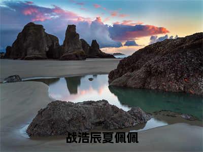 战浩辰夏佩佩替嫁残疾老公后，她靠医术撩爆了全文免费完整版,战浩辰夏佩佩最新章节完整版阅读