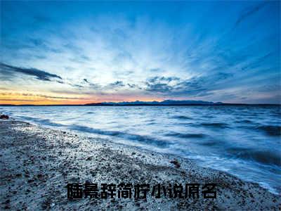 陆景辞简柠小说（陆景辞简柠）全文免费阅读无弹窗大结局_陆景辞简柠小说最新章节列表