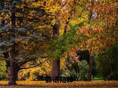 姜语陆烨（姜语陆烨）最新章节阅读-姜语陆烨小说大结局